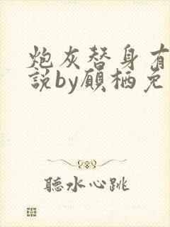 炮灰替身有话要说by愿栖免费阅读