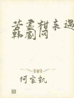 苦尽柑来遇见你韩剧网