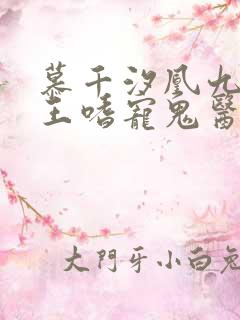 慕千汐凰九夜邪王嗜宠鬼医狂妃无弹窗