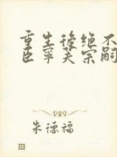 重生后绝不嫁权臣宁芙宗嗣