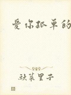 爱你孤单的心事