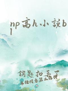 np高h小说bl