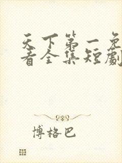 天下第一免费观看全集短剧