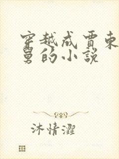 穿越成贾东旭舅舅的小说