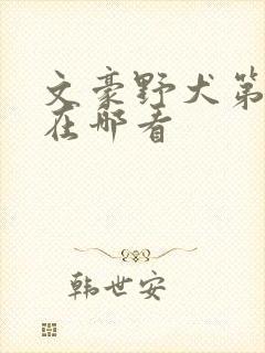 文豪野犬第六季在哪看