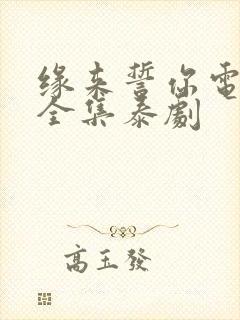 缘来誓你电视剧全集泰剧