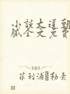 小说大道朝天猫腻全文免费看