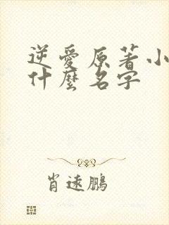 逆爱原著小说叫什么名字