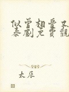 似曾相爱又归来泰剧免费观看