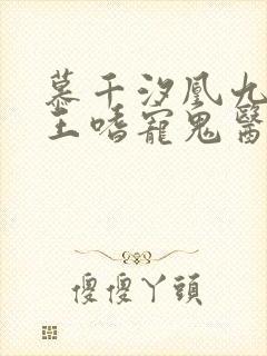 慕千汐凰九夜邪王嗜宠鬼医狂妃