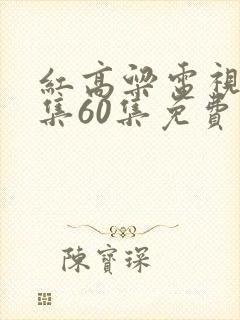 红高粱电视剧全集60集免费播放