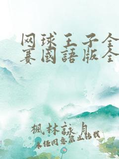 网球王子全国大赛国语版全集