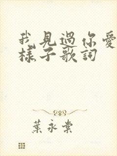 我见过你爱我的样子歌词