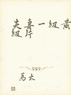 夫妻一级黄色一级片