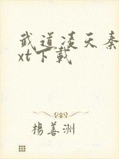 武道凌天秦初txt下载