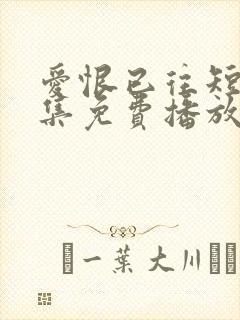 爱恨已往短剧全集免费播放