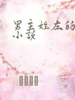 男主姓左的总裁小说