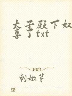 太子殿下奴才有喜了txt