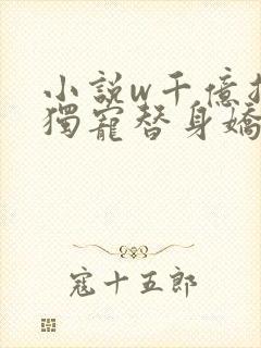 小说w千亿总裁独宠替身娇妻》