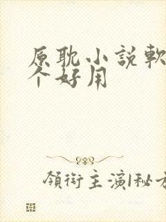 原耽小说软件哪个好用