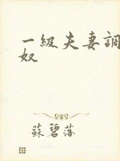 一级夫妻调教男奴