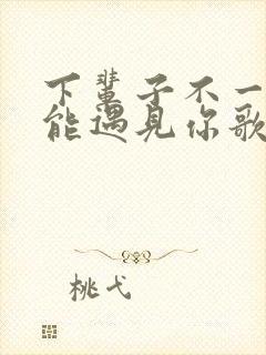 下辈子不一定还能遇见你歌曲原唱