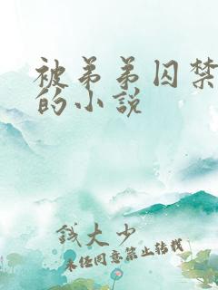 被弟弟囚禁改造的小说