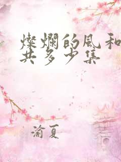 灿烂的风和海一共多少集