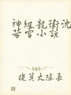 神级龙卫沈浪苏若雪小说