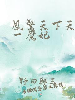 凤惊天下天才第一魔妃