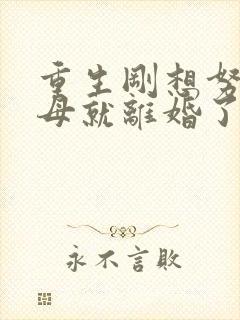 重生刚想努力父母就离婚了短剧免费观看