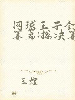 网球王子全国大赛篇:总决赛