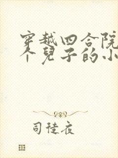 穿越四合院十二个儿子的小说