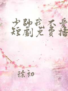 少帅我不爱你了短剧免费播放最新章