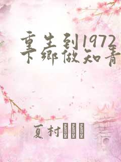 重生到1972下乡做知青陈凡