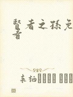 贤者之孙免费观看