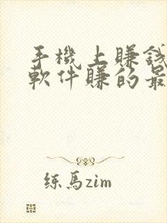 手机上赚钱哪个软件赚的最快