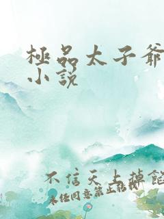 极品太子爷小说小说