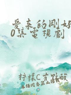 爱来的刚好全60集电视剧