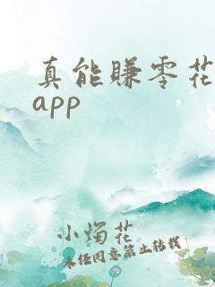 真能赚零花钱的app