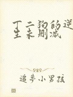 丁二狗的逆袭人生未删减