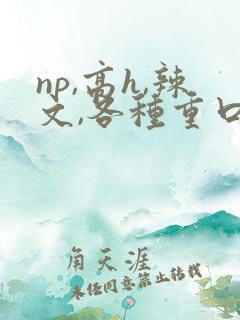 np,高h,辣文,各种重口味play
