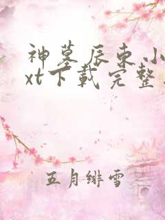 神墓辰东小说txt下载完整版