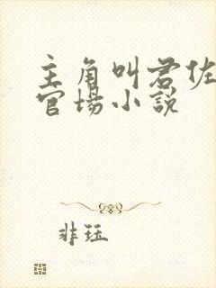 主角叫君佐漫的官场小说