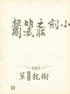 黎明之剑小说无删减版