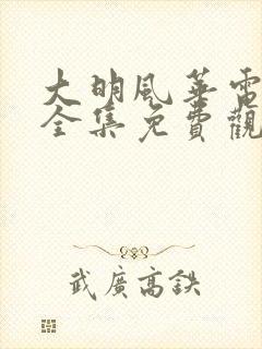 大明风华电视剧全集免费观看不卡