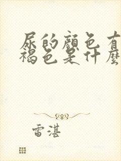 尿的颜色有点红褐色是什么原因