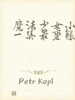 魔法少女小圆哪一集最变态