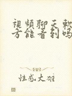 视频聊天软件对方能看到吗