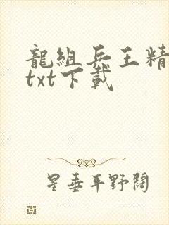 龙组兵王精校版txt下载